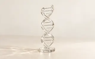 米白背景上一個透明玻璃做的 DNA 雙螺旋模型