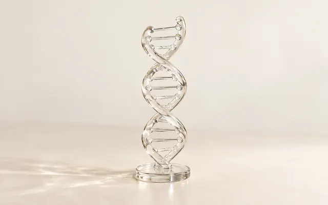 米白背景上一個透明玻璃做的 DNA 雙螺旋模型